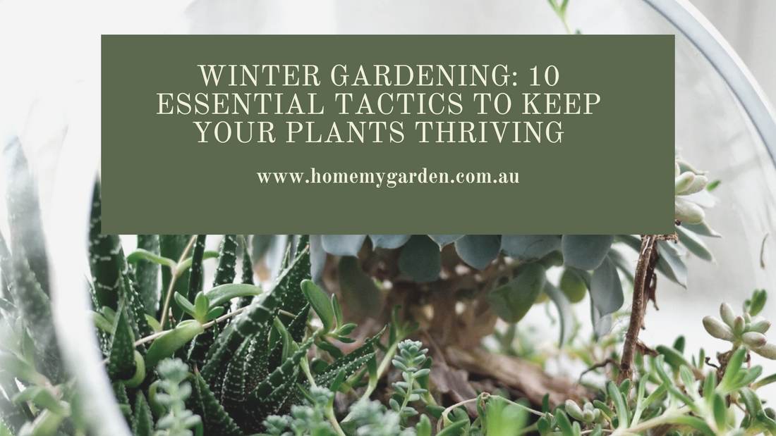 Winter Gardening: 10 Essential Tactics to Keep Your Plants Thriving