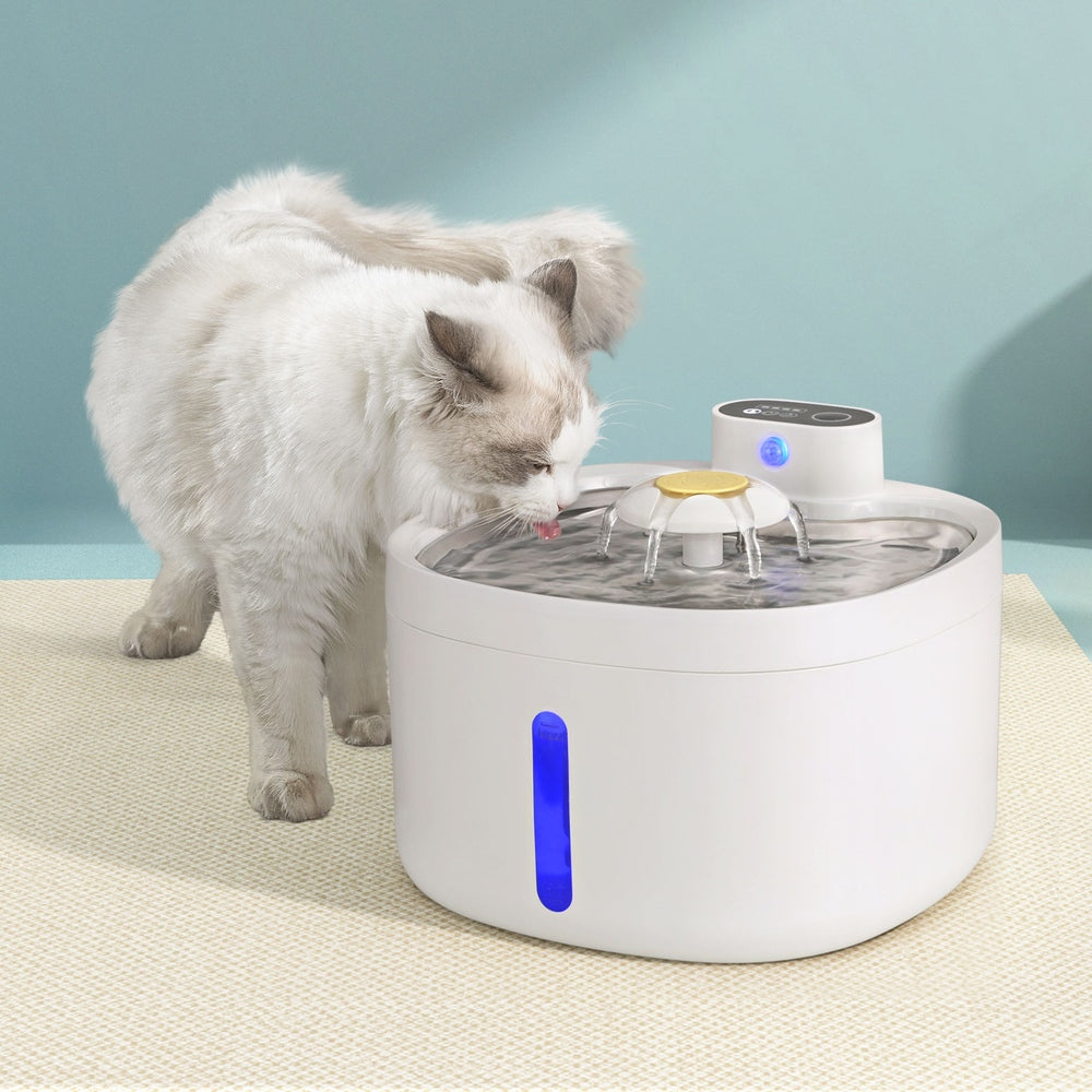 HomeMyGarden Pet Water Fountain Feeder Dispenser Filter Dog Cat Drinking Automatic 2.6L