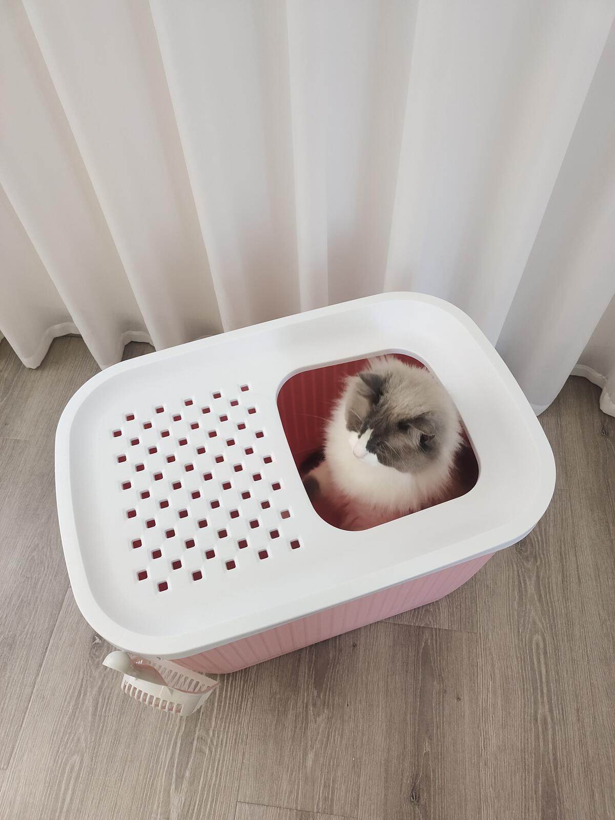 XXL Top Entry Cat Litter Box No Mess Large Enclosed Covered Kitty Tray Pink