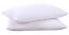 Puredown Goose Down and Feather Pillow Inserts for Sleeping, 100% Cotton Fabric Cover Bed Pillows, Set of 2, White, King Size