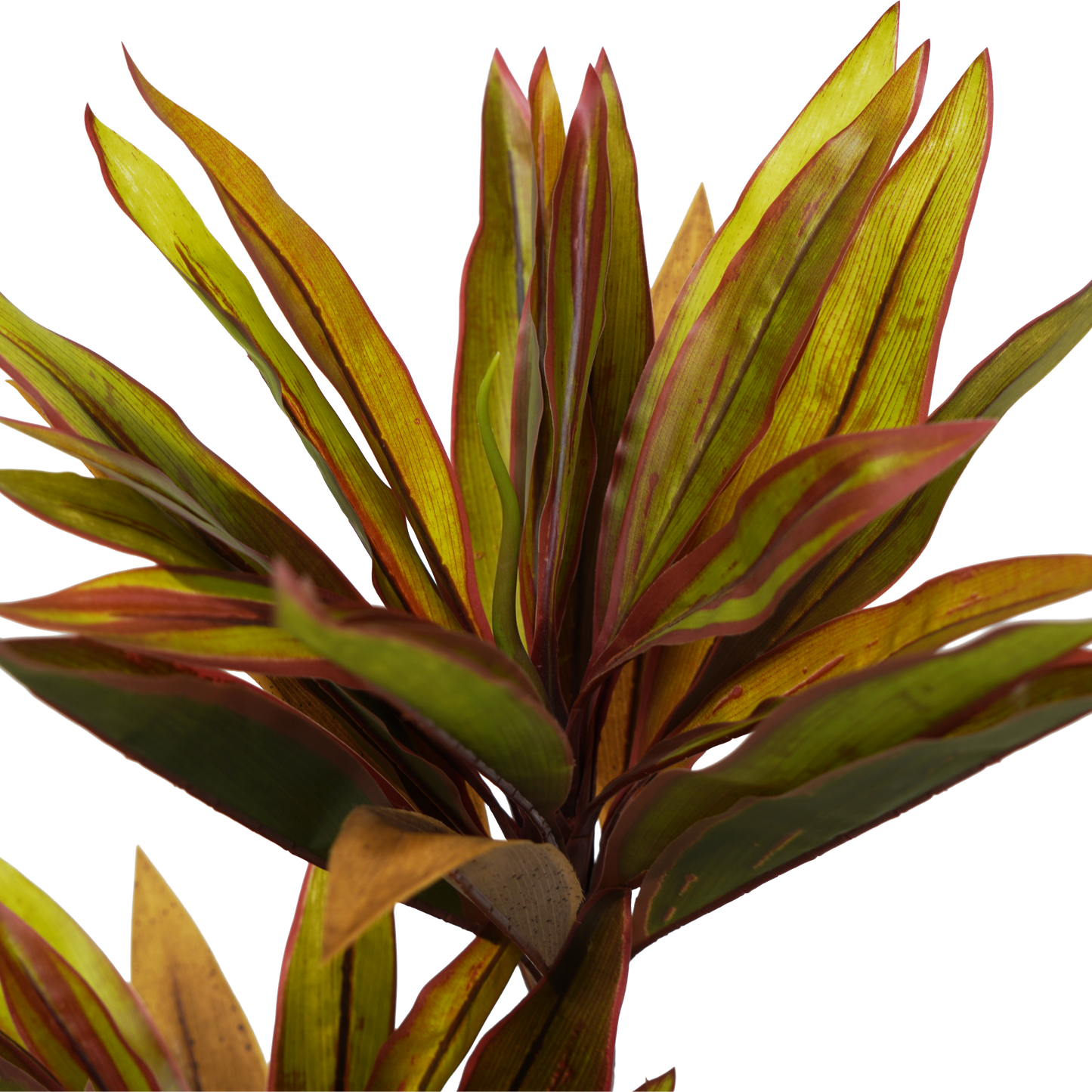 Faux Cordyline Fruticosa Tree Artificial Plant