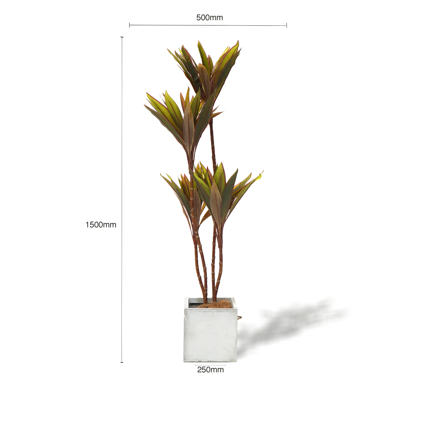 Faux Cordyline Fruticosa Tree Artificial Plant