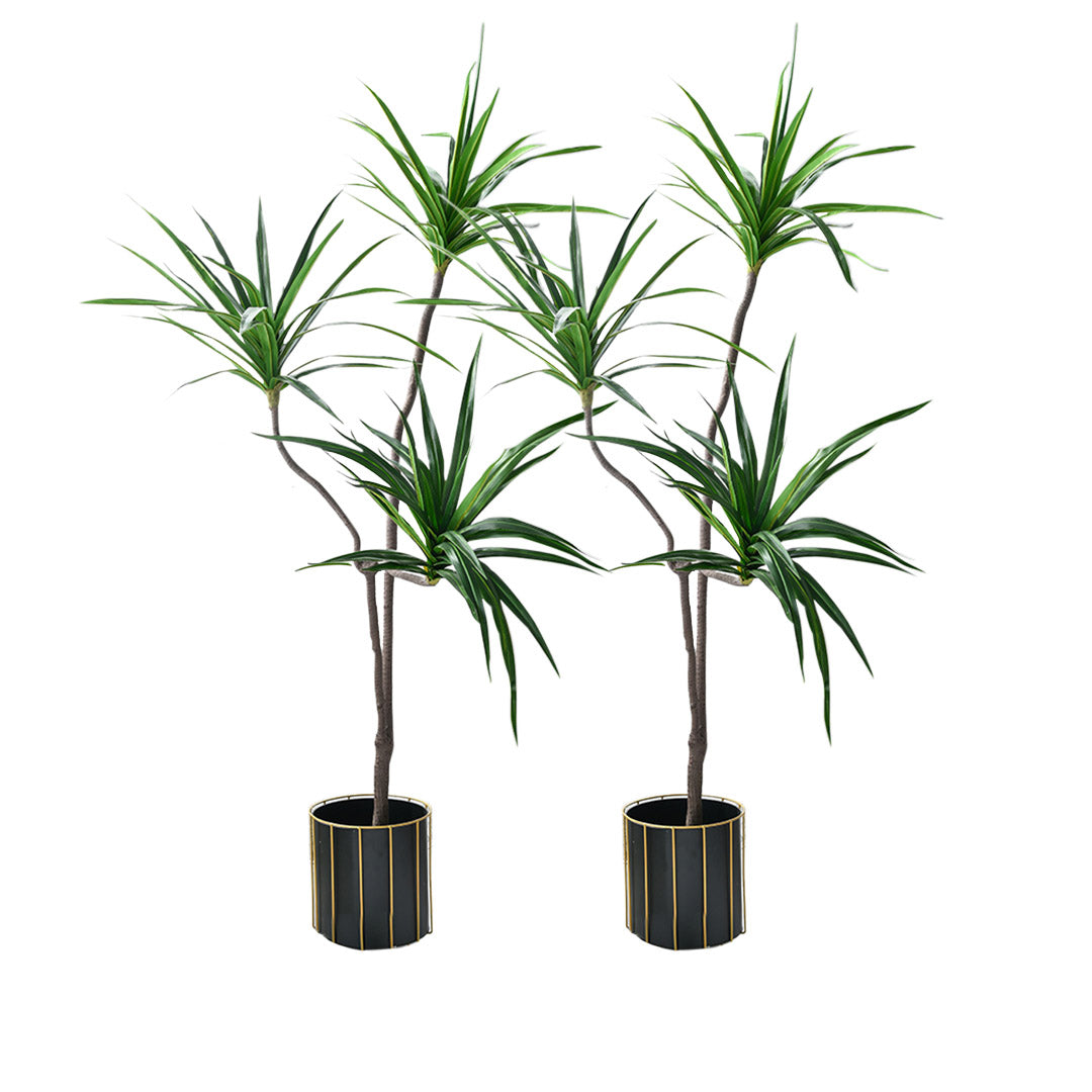 Premium 2X 180cm Green Artificial Indoor Brazlian Iron Tree Fake Plant Decorative 3 Heads - image1