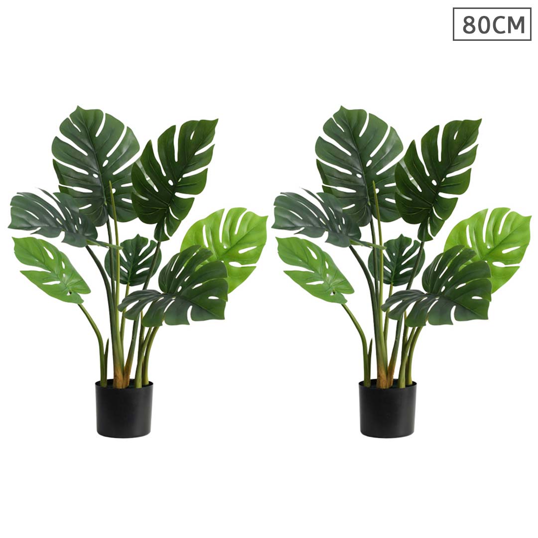 Premium 2X 80cm Artificial Indoor Potted Turtle Back Fake Decoration Tree Flower Pot Plant - image1