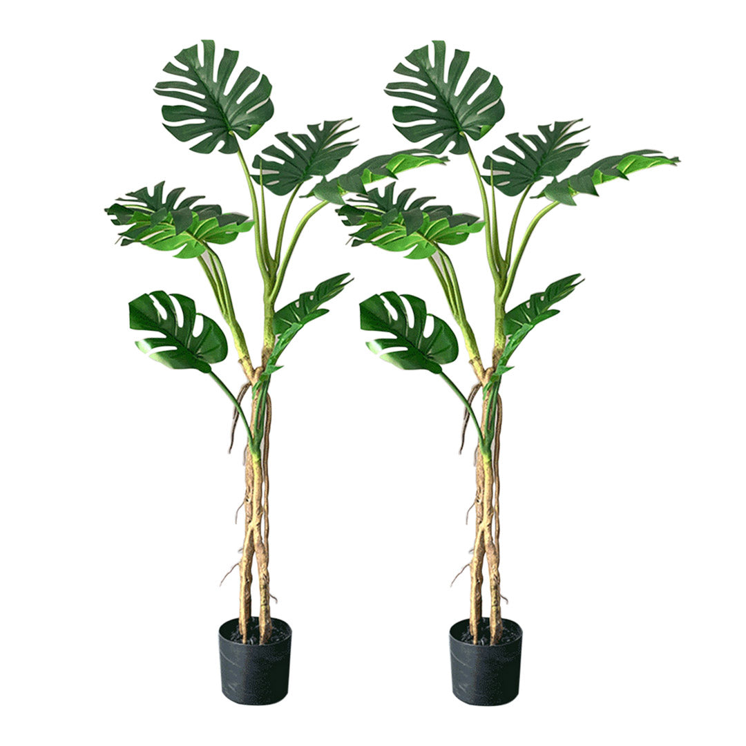 Premium 2X 160cm Green Artificial Indoor Turtle Back Tree Fake Fern Plant Decorative - image1