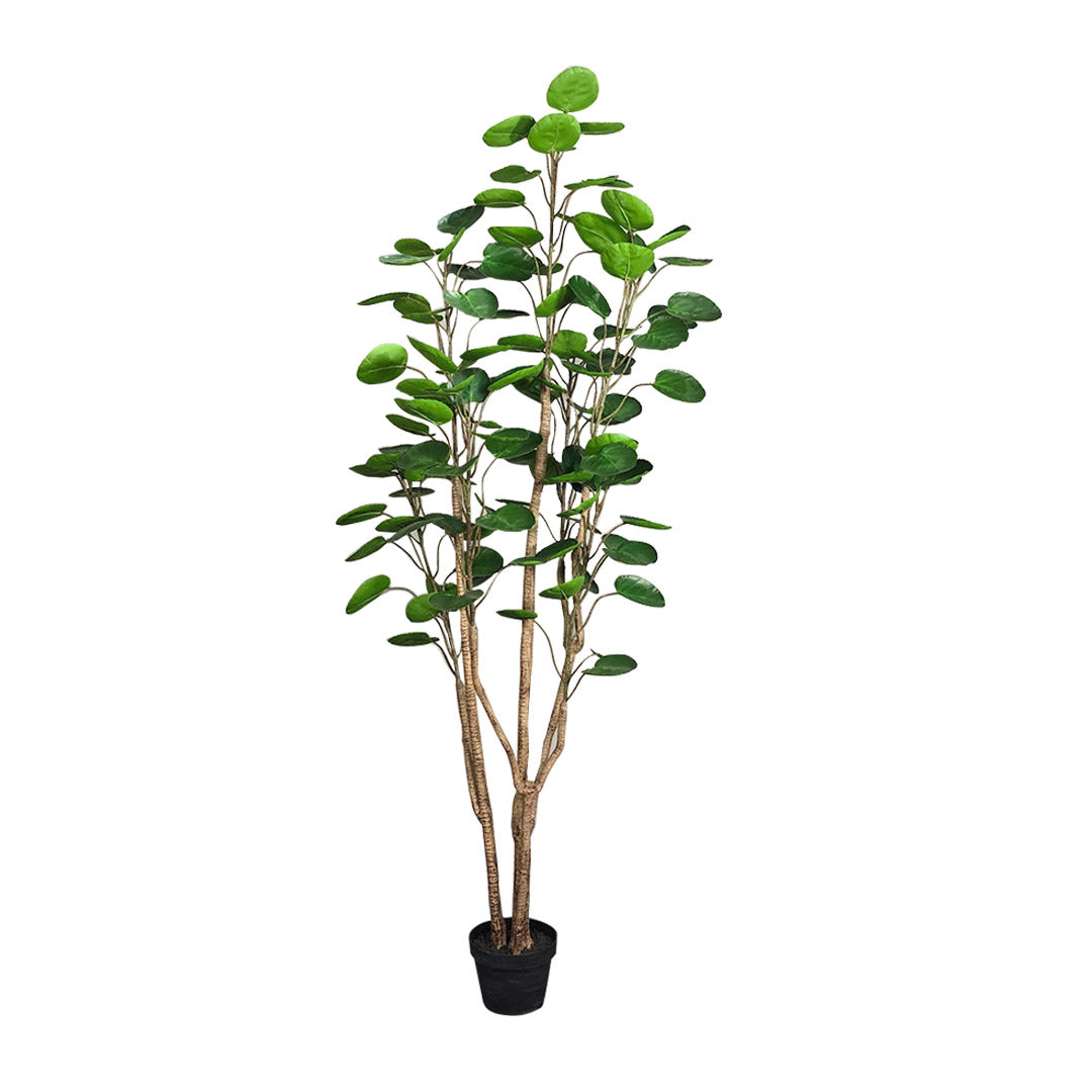 Premium 180cm Green Artificial Indoor Pocket Money Tree Fake Plant Simulation Decorative - image1