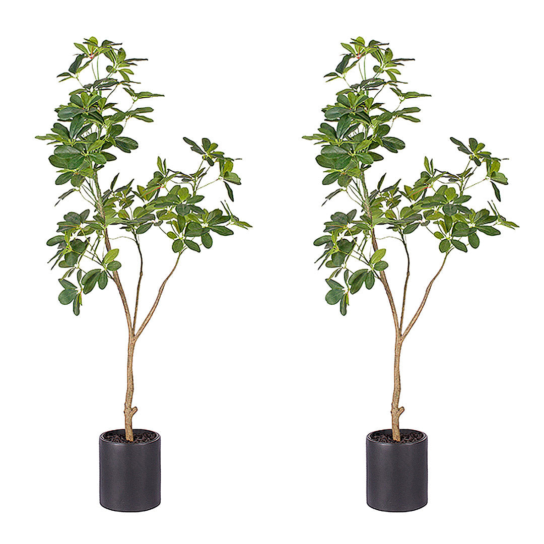 Premium 2X 160cm Artificial Natural Green Schefflera Dwarf Umbrella Tree Fake Tropical Indoor Plant Home Office Decor - image1