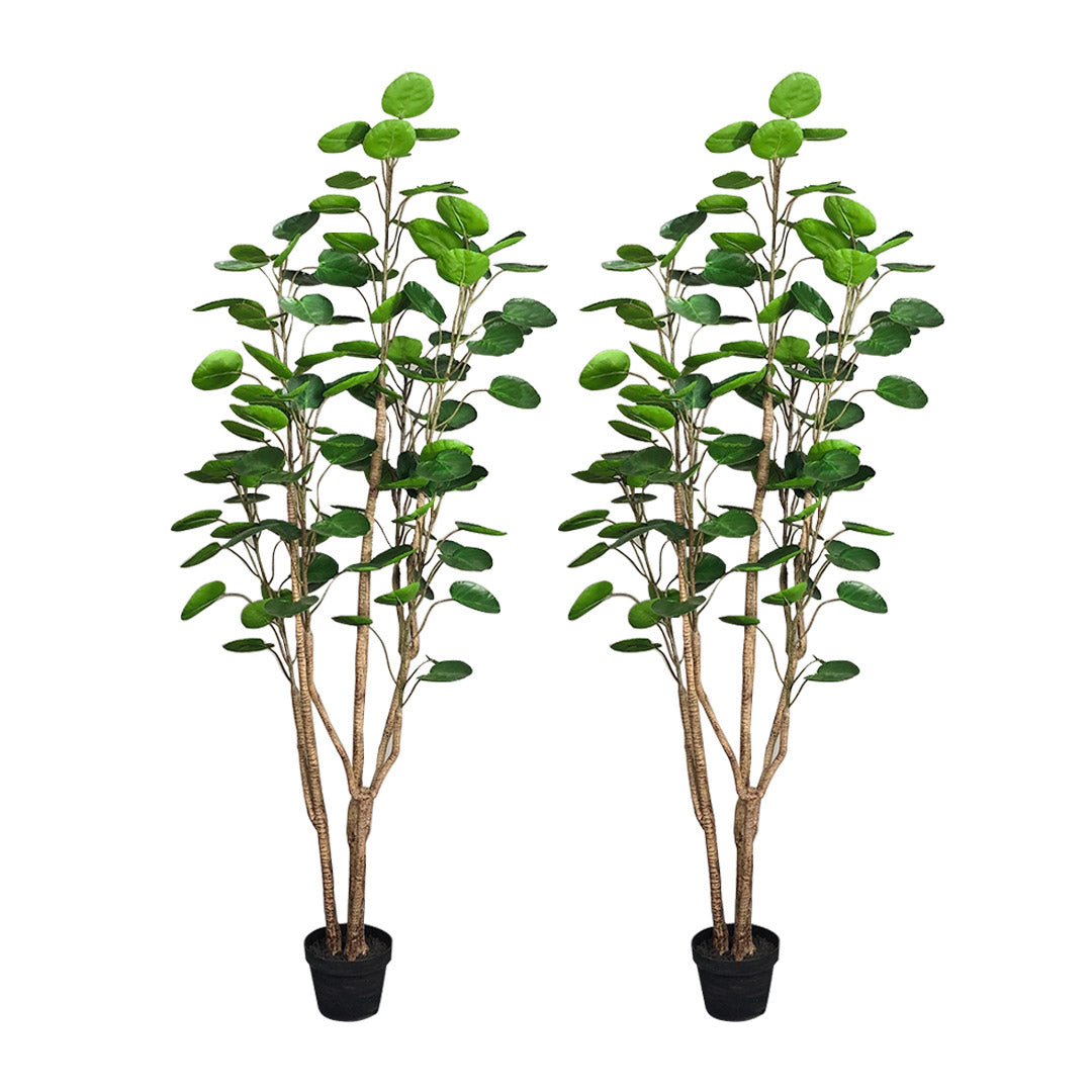 Premium 2X 150cm Green Artificial Indoor Pocket Money Tree Fake Plant Simulation Decorative - image1