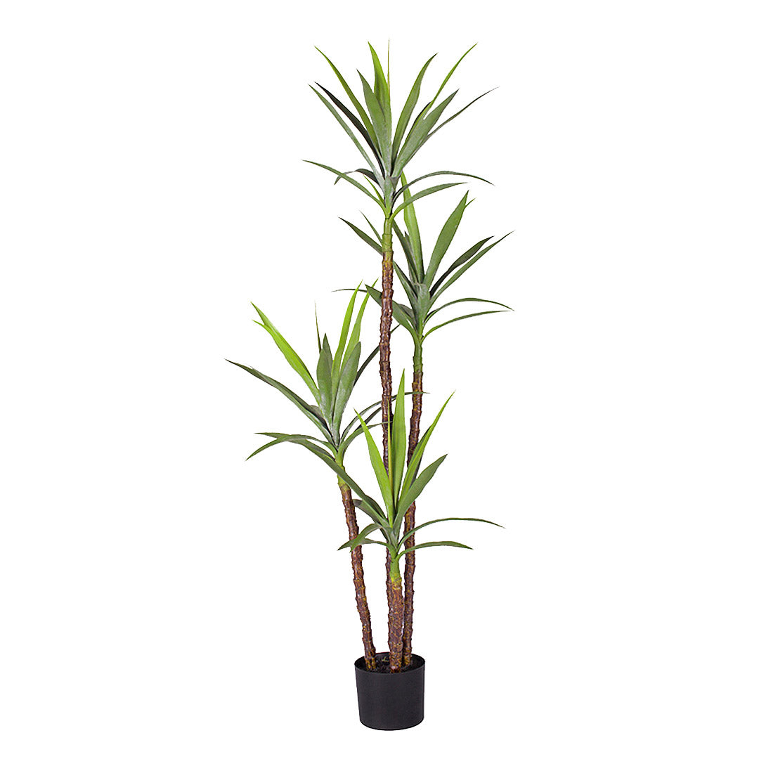 Premium 180cm Artificial Natural Green Dracaena Yucca Tree Fake Tropical Indoor Plant Home Office Decor - image1