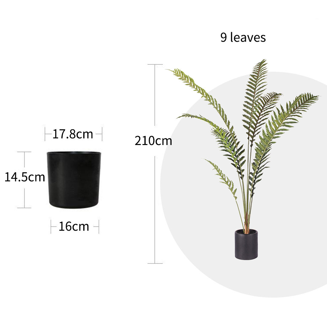 Premium 4X 210cm Artificial Green Rogue Hares Foot Fern Tree Fake Tropical Indoor Plant Home Office Decor - image2