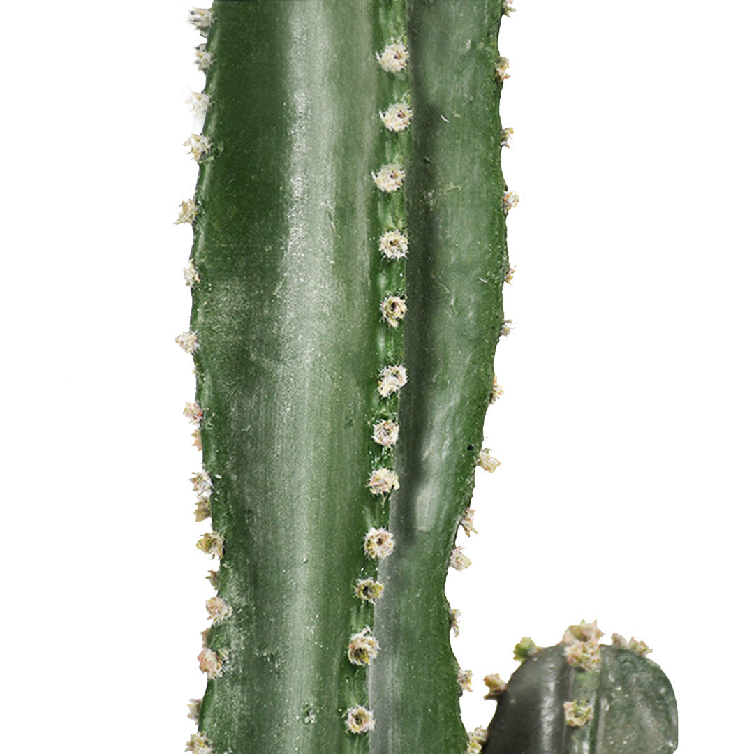 Premium 4X 70cm Green Artificial Indoor Cactus Tree Fake Plant Simulation Decorative 5 Heads - image3