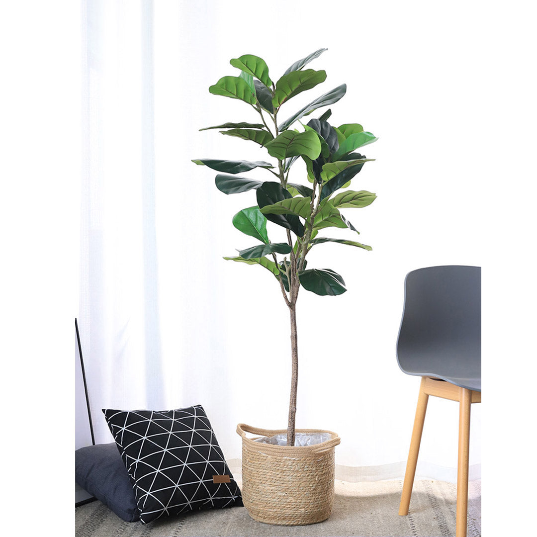 Premium 155cm Green Artificial Indoor Qin Yerong Tree Fake Plant Simulation Decorative - image4