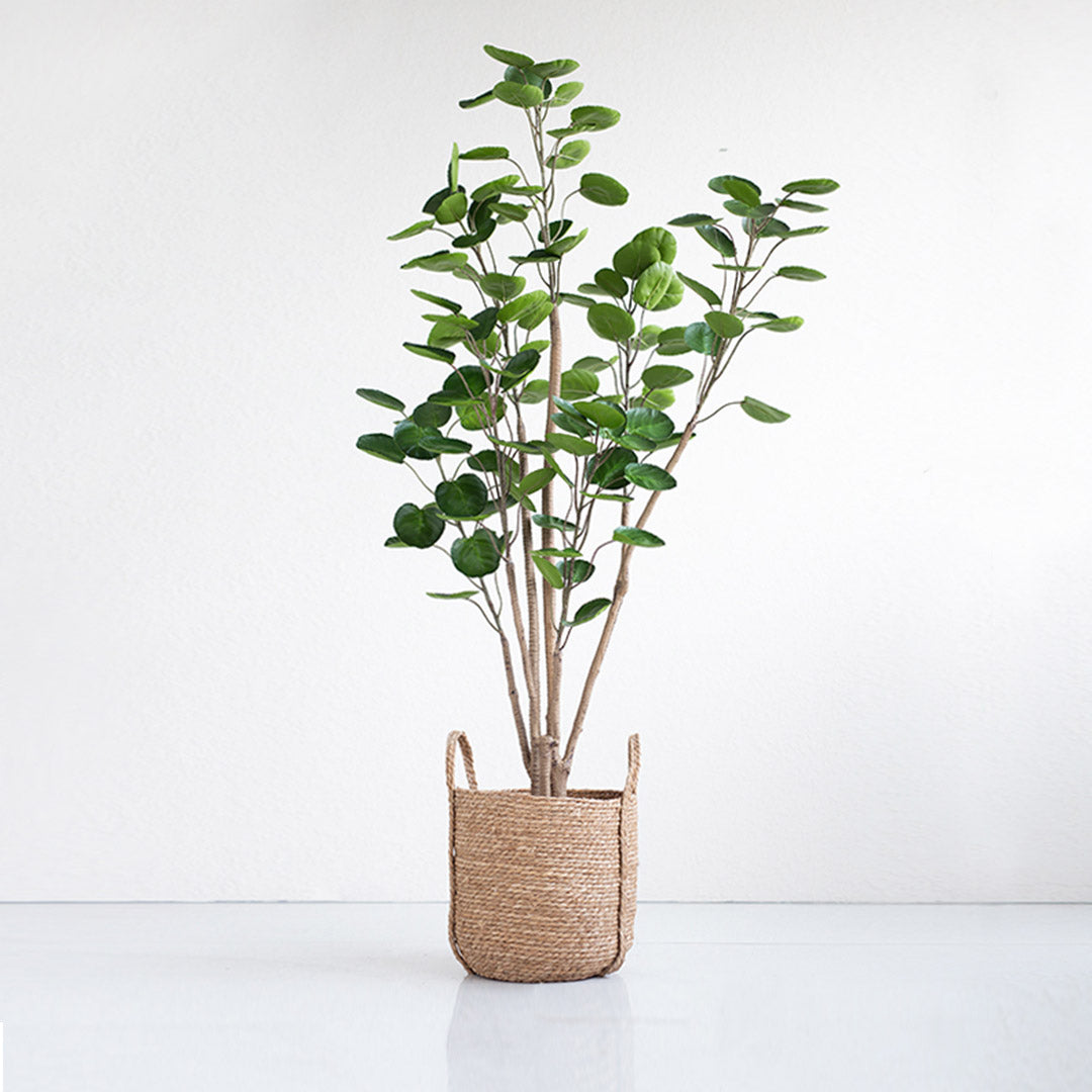 Premium 2X 150cm Green Artificial Indoor Pocket Money Tree Fake Plant Simulation Decorative - image4