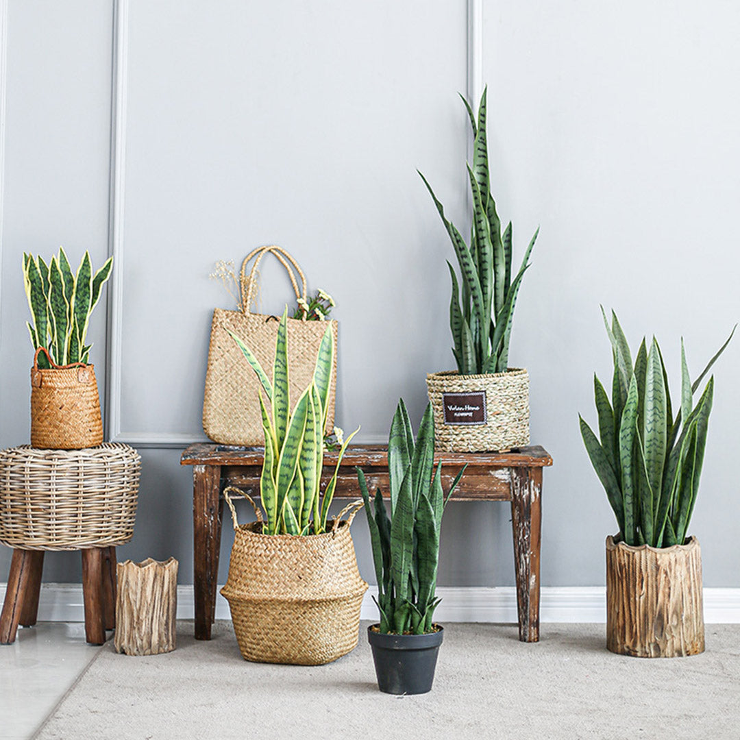 Premium 97cm Artificial Indoor Snake Sansevieria Plant Fake Decoration Tree Flower Pot - image5