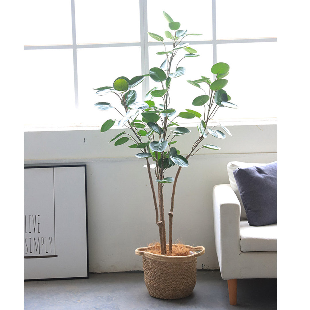 Premium 2X 180cm Green Artificial Indoor Pocket Money Tree Fake Plant Simulation Decorative - image5