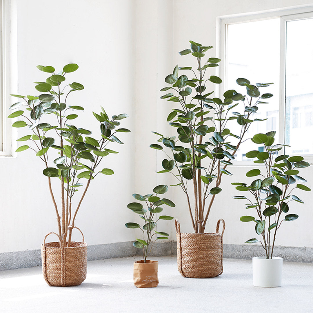 Premium 4X 150cm Green Artificial Indoor Pocket Money Tree Fake Plant Simulation Decorative - image9