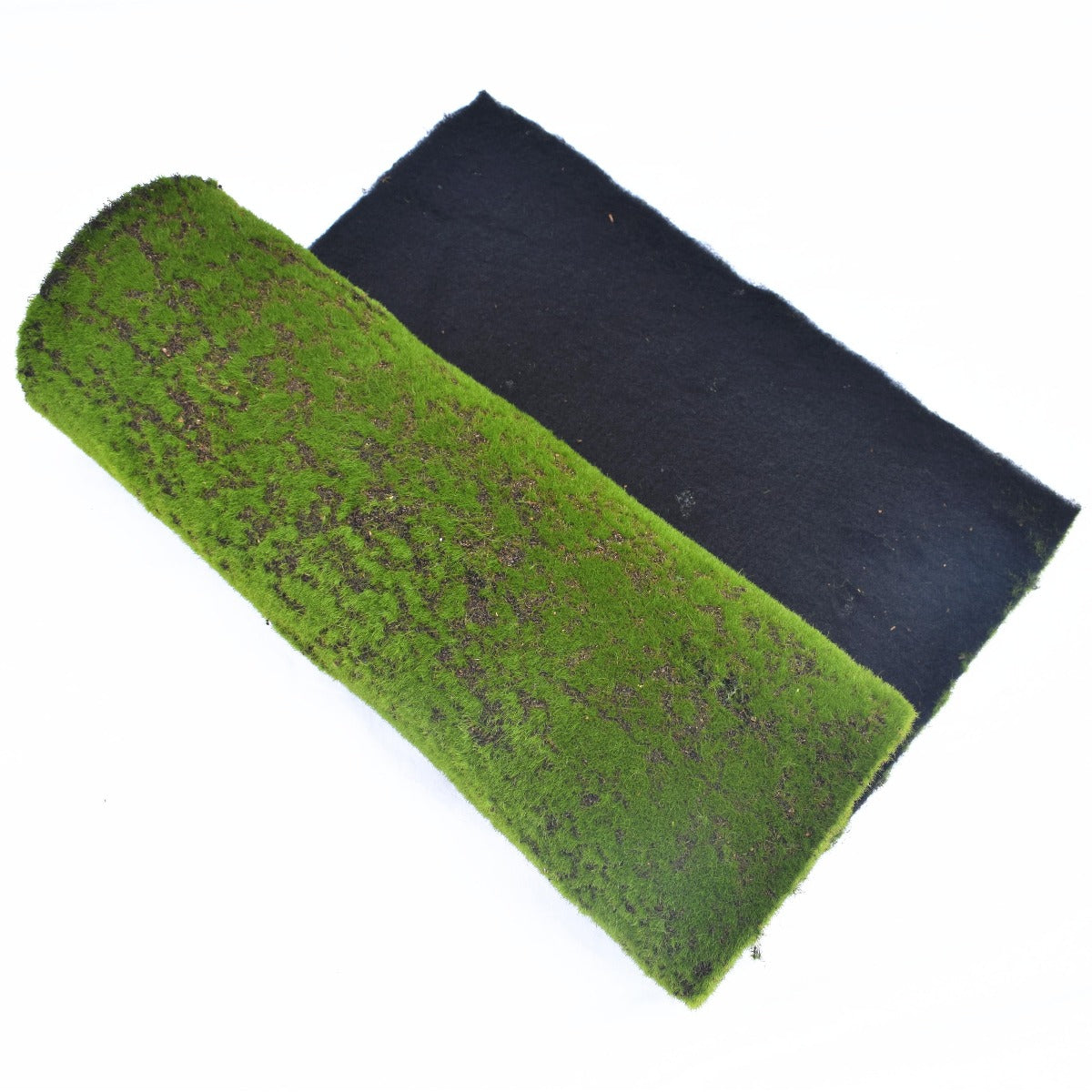 Moss Wall Covering 200cm x 50cm - image8