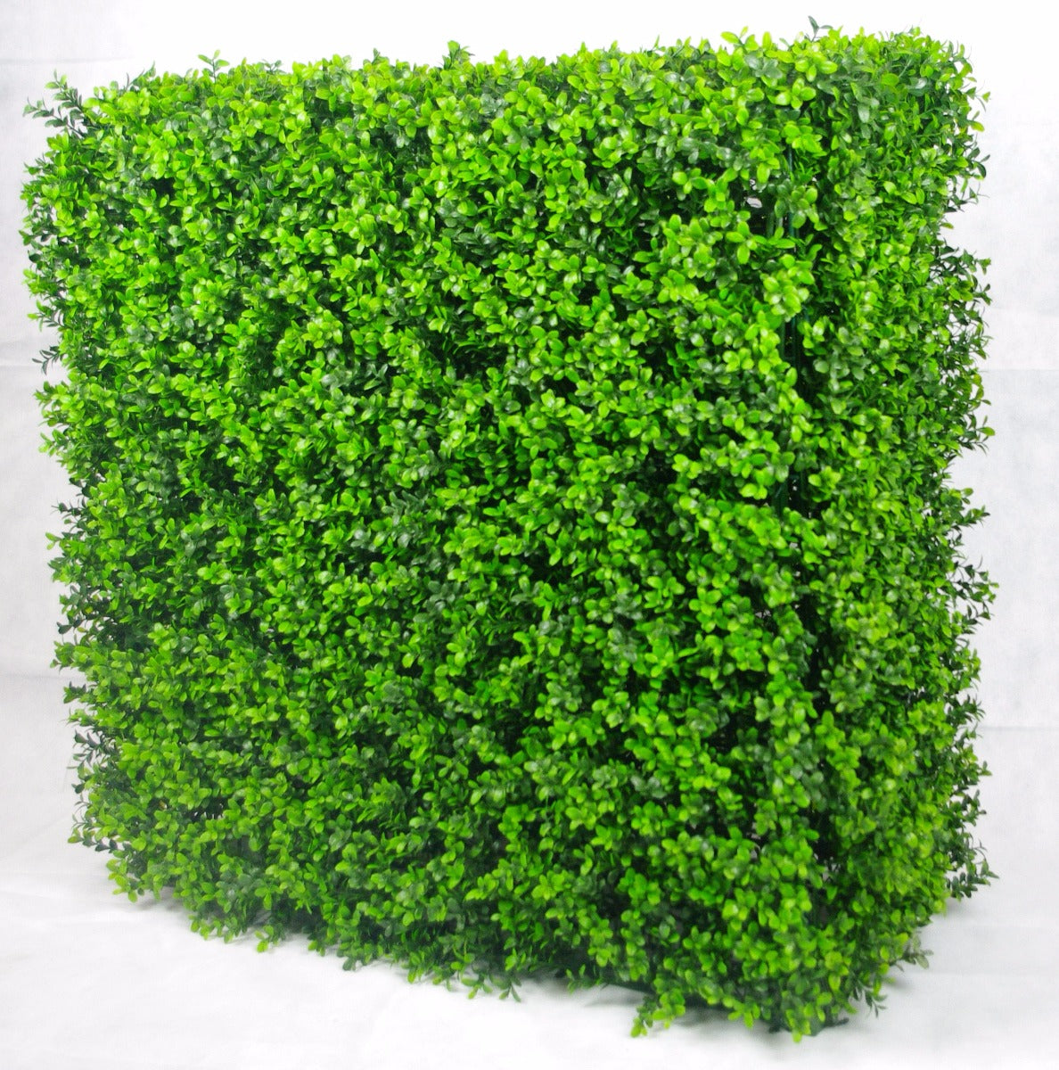 Portable Buxus Hedge UV Stabilised 75cm X 75cm - image3