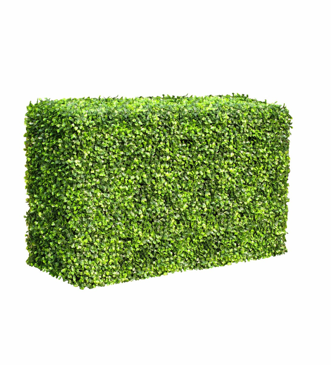 Portable Boxwood Hedge 1m Long 50cm High 30cm Deep - image2