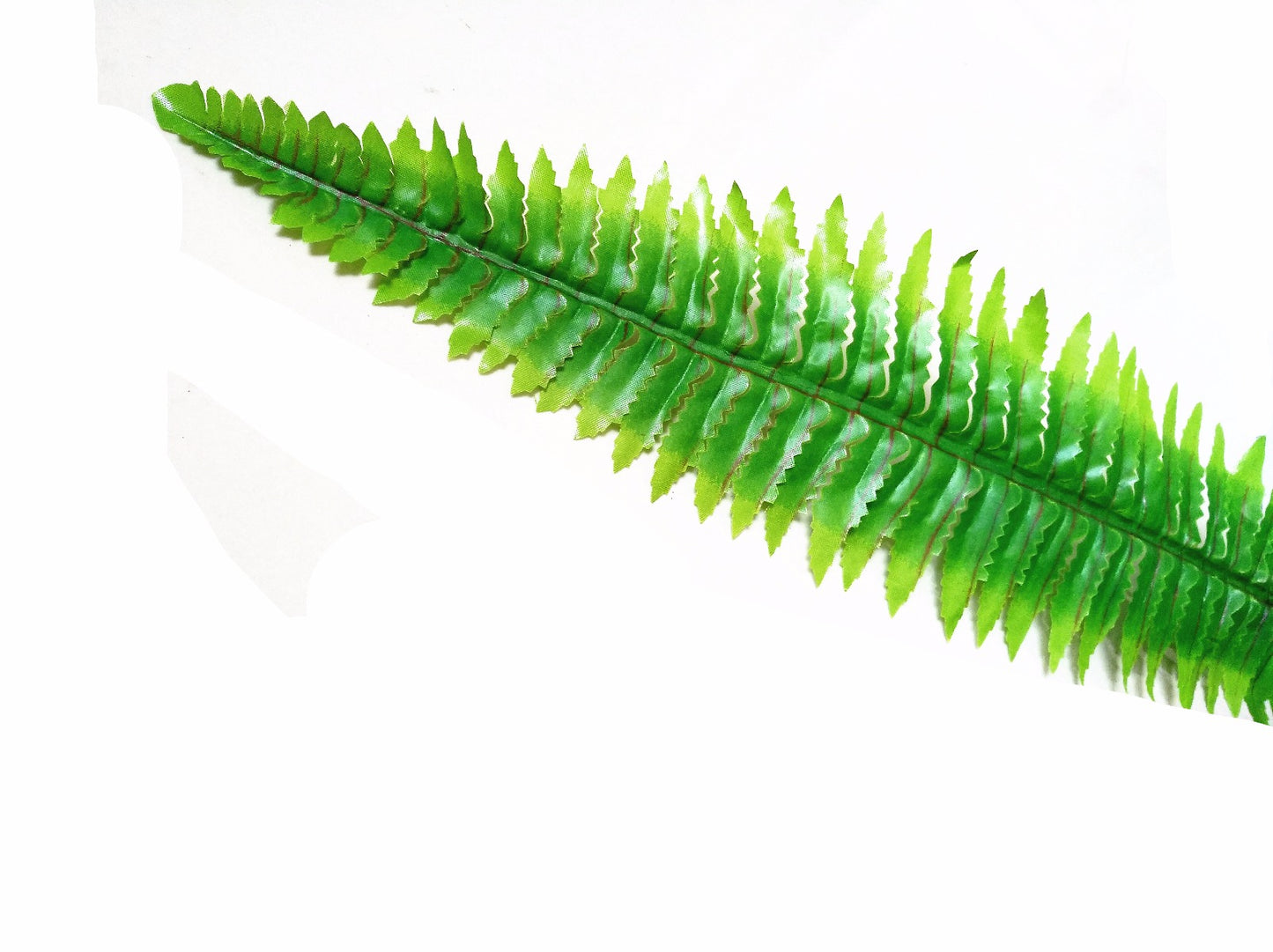 Boston Hanging Fern 102cm - image1