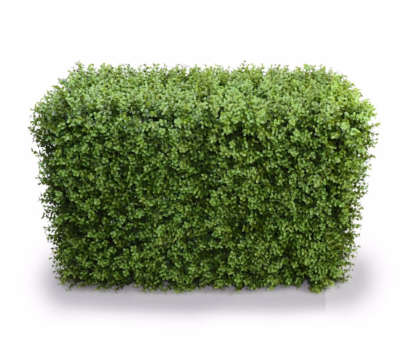 Deluxe Portable Buxus Hedges UV Stabilised 100cm Long X 55cm High - image1