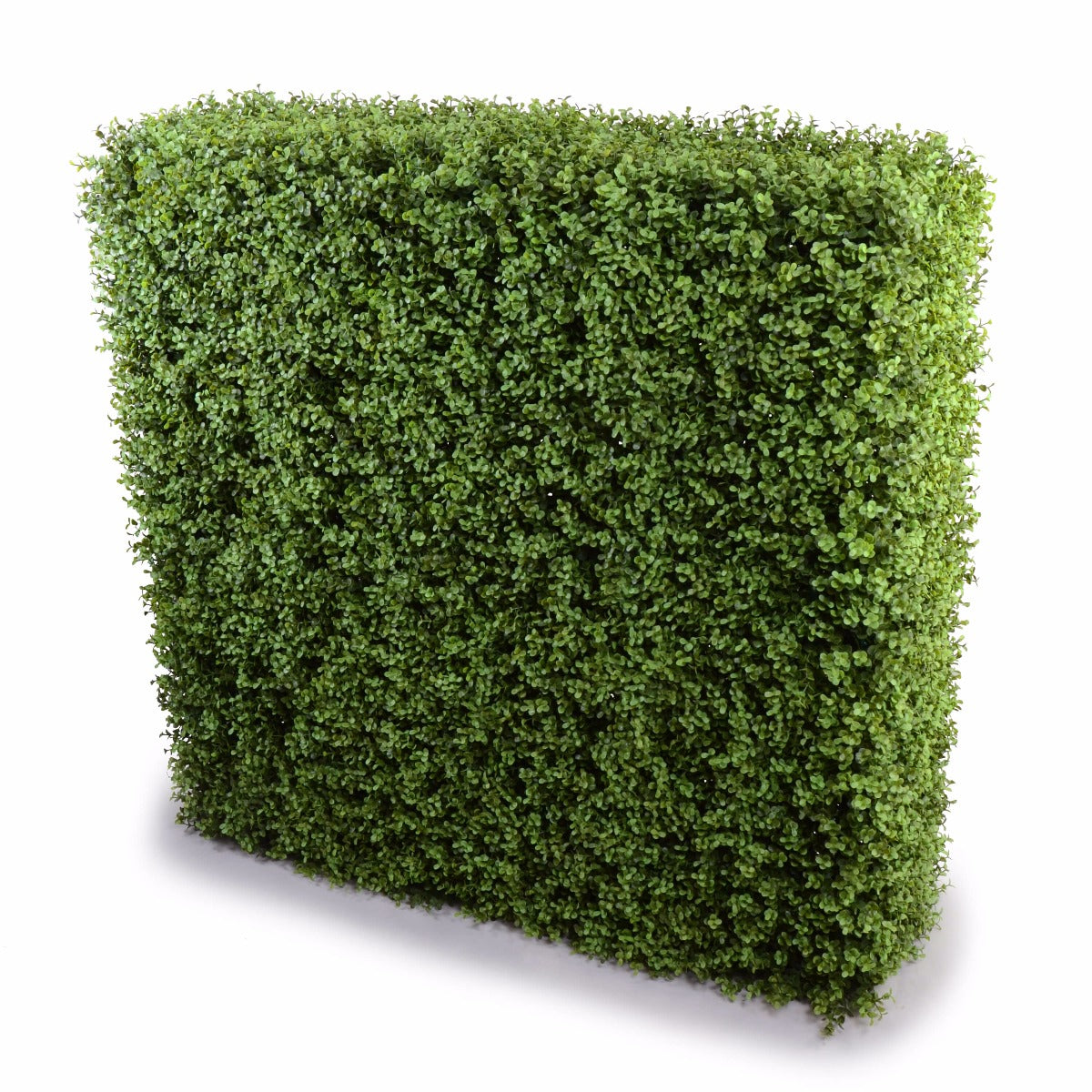 Deluxe Portable Buxus Hedges UV Stabilised 100cm Long X 100cm High - image1