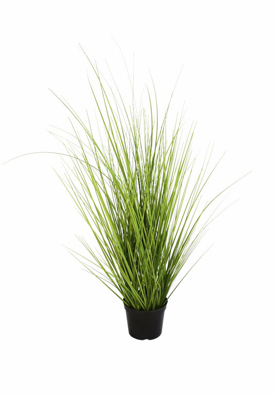 Wild Grass Plant 70cm - image1