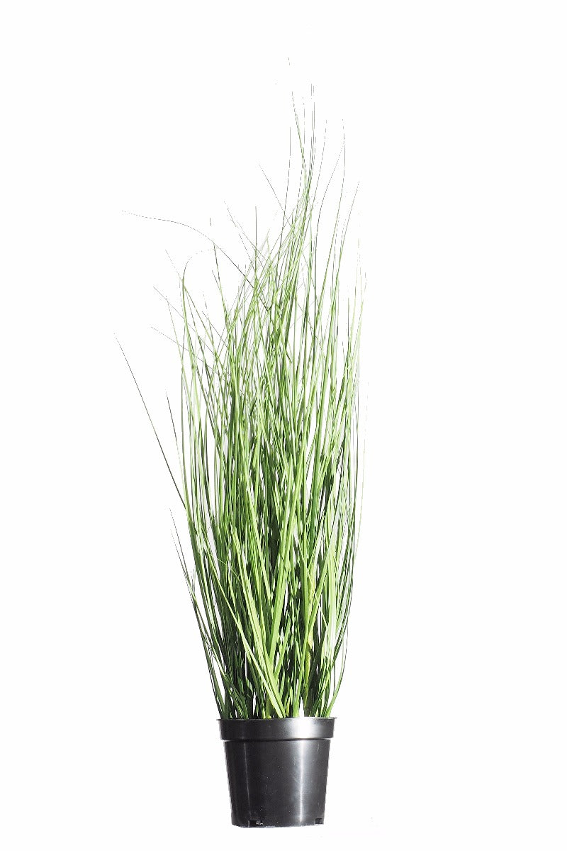 Wild Grass Plant 70cm - image2