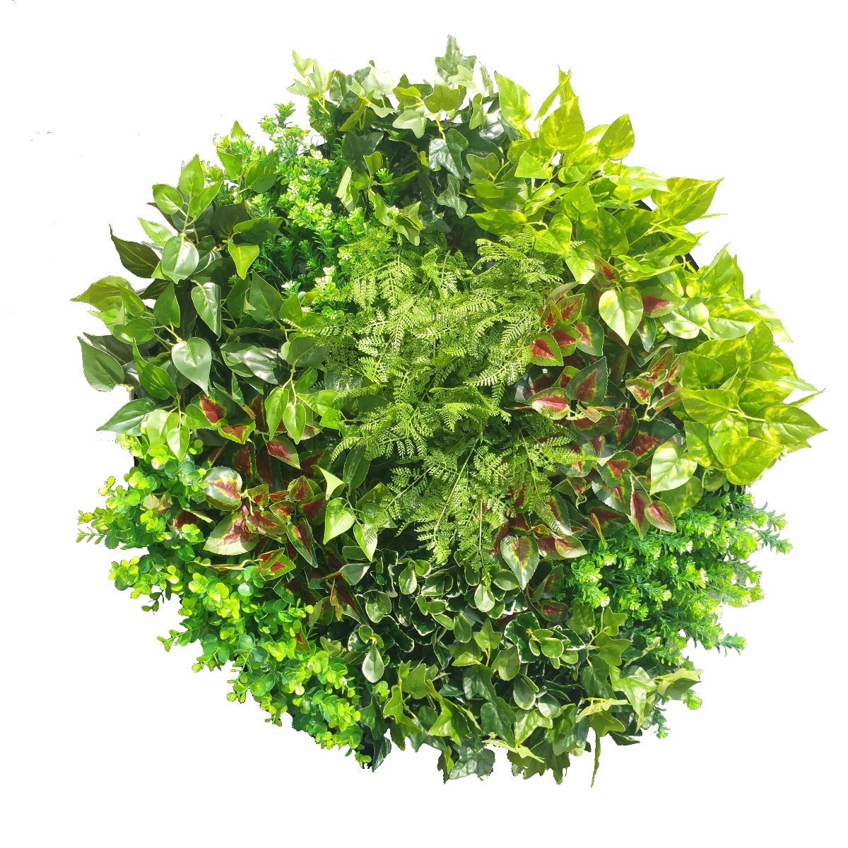 Green Wall Disk Art 80cm - Mixed Fern - image4