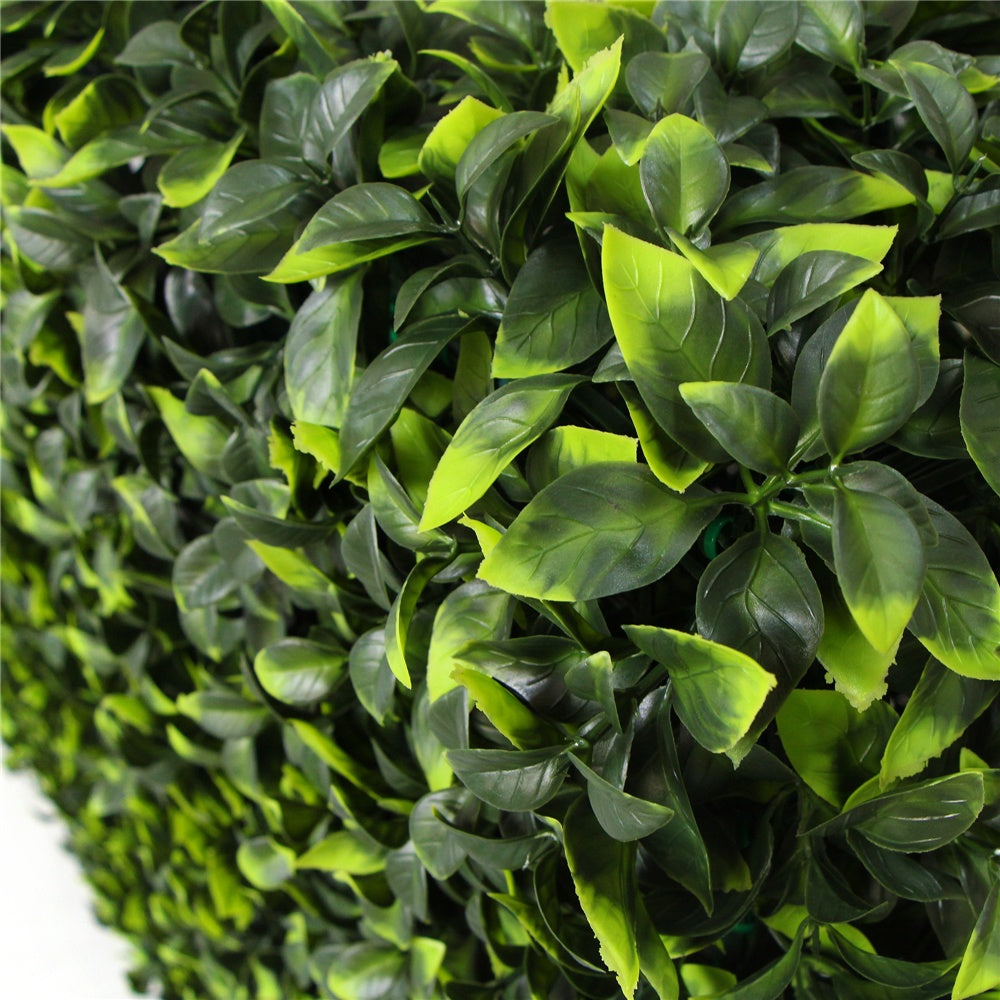 Portable Jasmine Hedge Plant UV Resistant 75cm x 75cm - image2