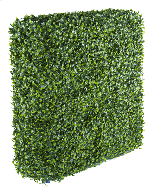 Portable Jasmine Hedge Plant UV Resistant 75cm x 75cm - image1