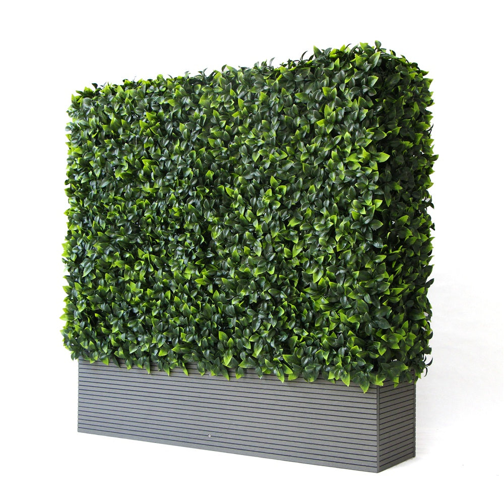 Portable Jasmine Hedge Plant UV Resistant 75cm x 75cm - image3