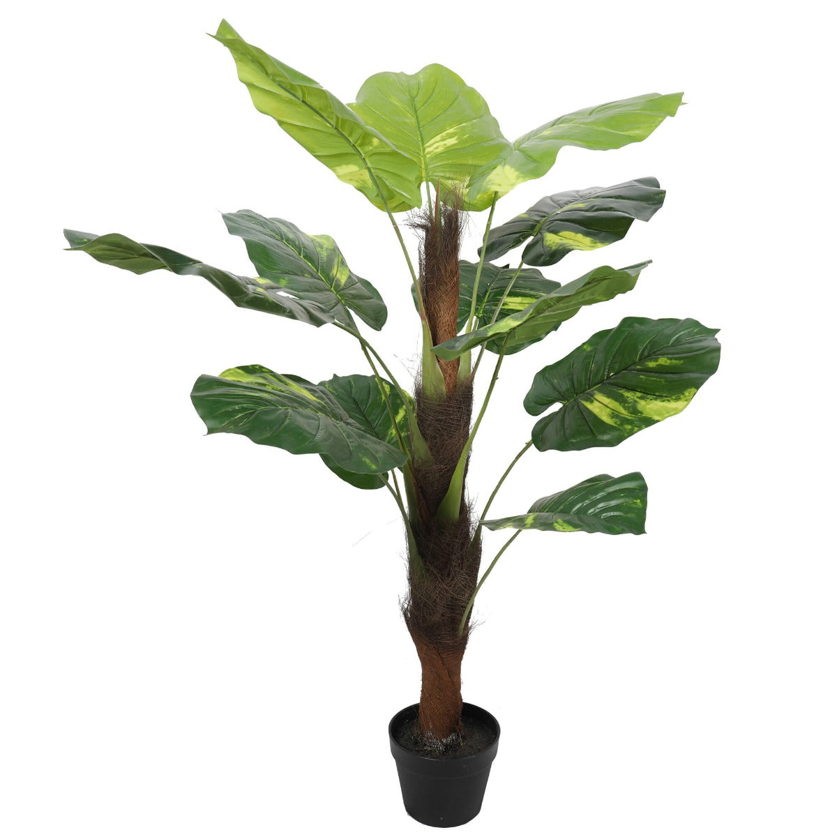 Potted Pothos Plant with Pole 100cm - image4