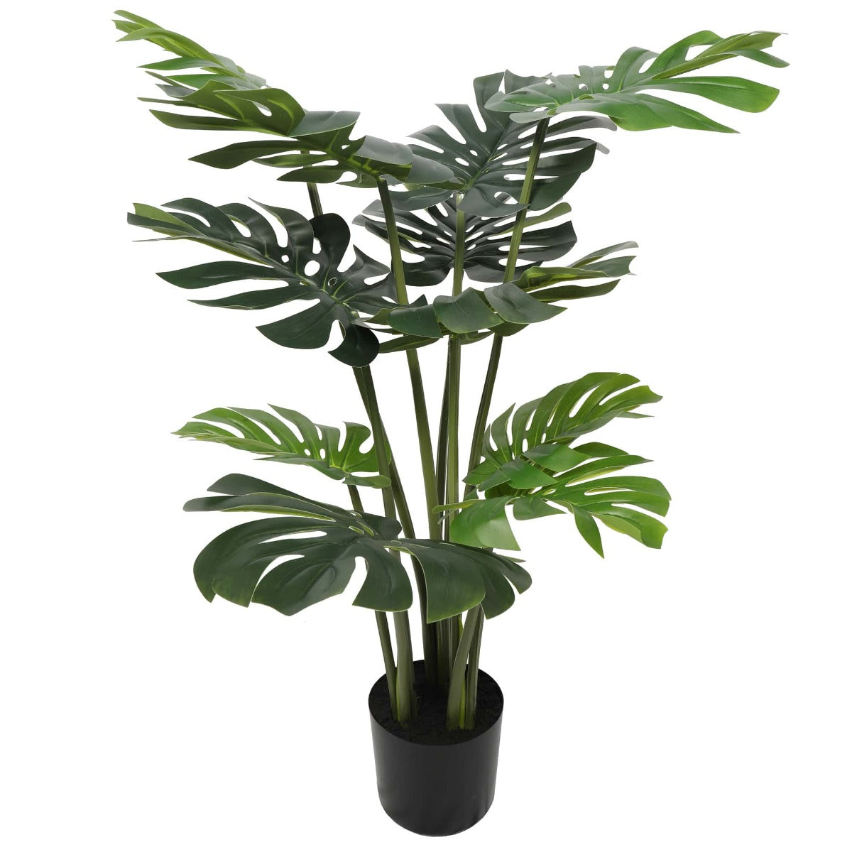 Split Philodendron (Split Leaf) 120cm - image1