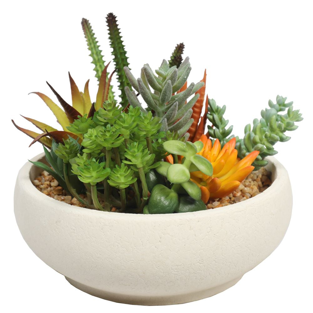 Potted Succulent Bowl with Natural Stone Pot 21cm - image1