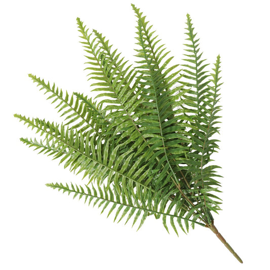 Fern (Lady Fern) 50cm UV Resistant - image1