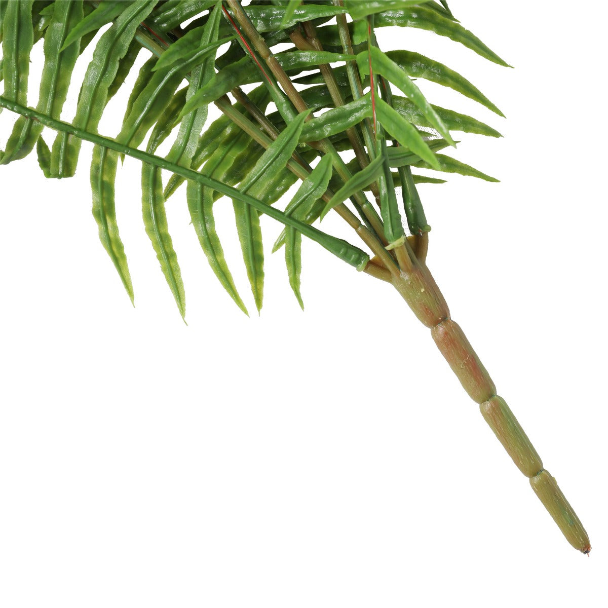 Fern (Lady Fern) 50cm UV Resistant - image3