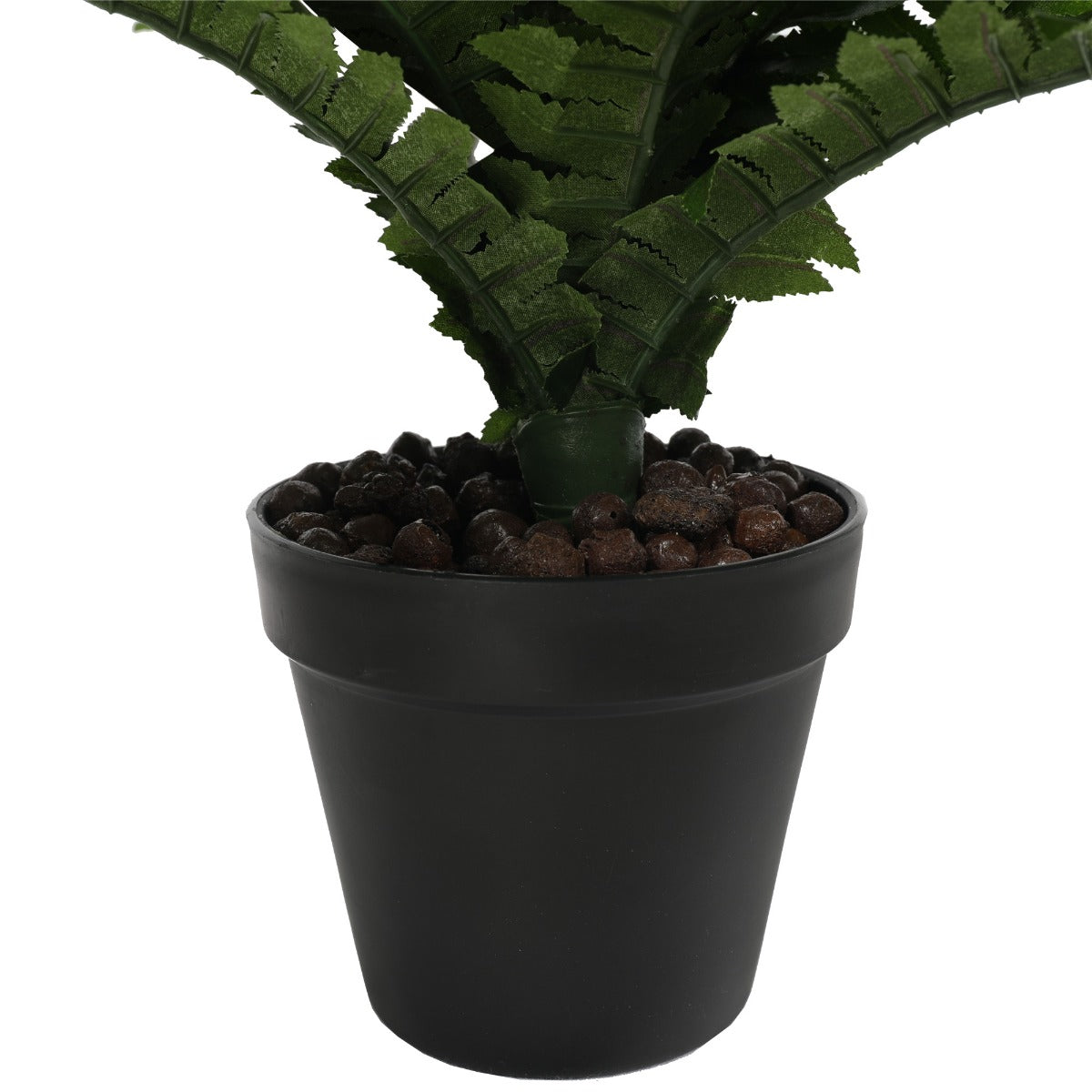 Potted Natural Green Boston Fern (50cm high 70cm wide) - image4