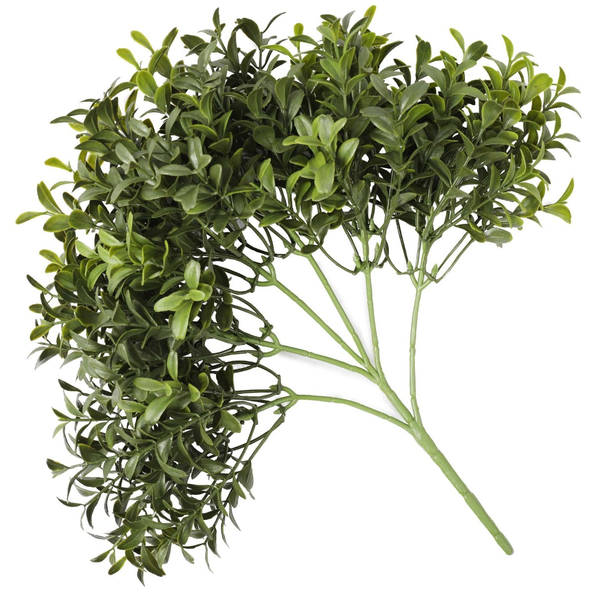 Dense Buxus Foliage 30cm UV Resistant - image2