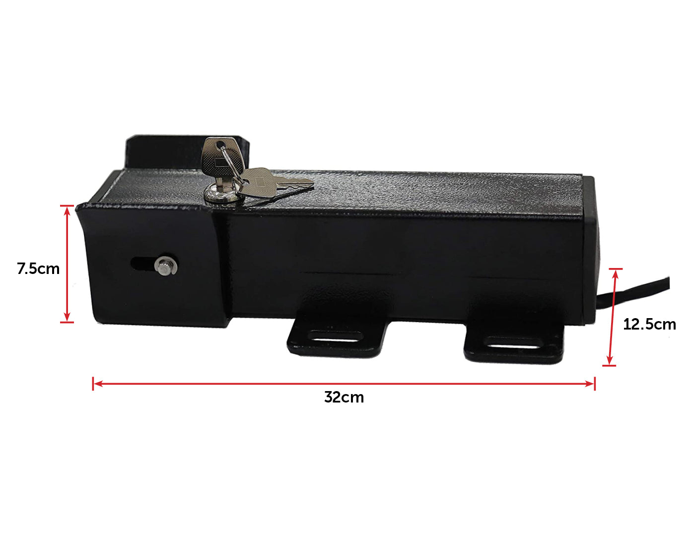 Electric Lock for Swing Gate - image2