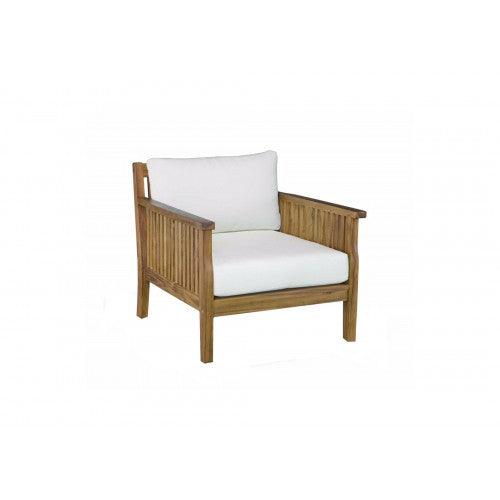 Arizon Sofa Arm Chair - image1