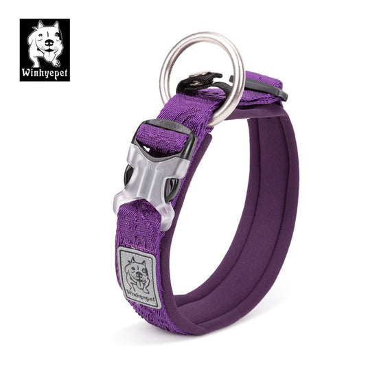 Whinhyepet Collar purple - L - image1