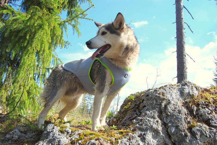 Cooling Vest Neon Yellow L - image4