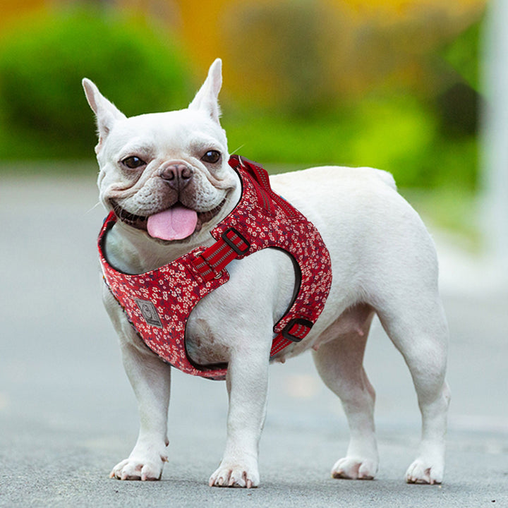 Floral Doggy Harness Red XS - image4