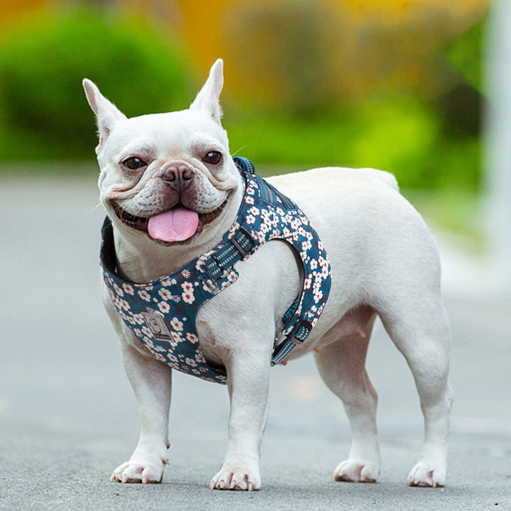 Floral Doggy Harness Saxony Blue XL - image4