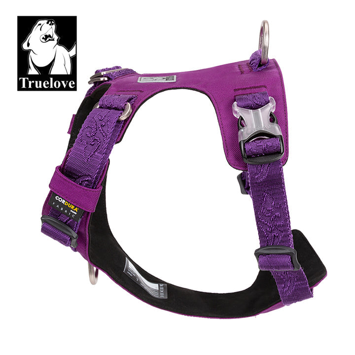 Lightweight Harness Purple 2XS - image3