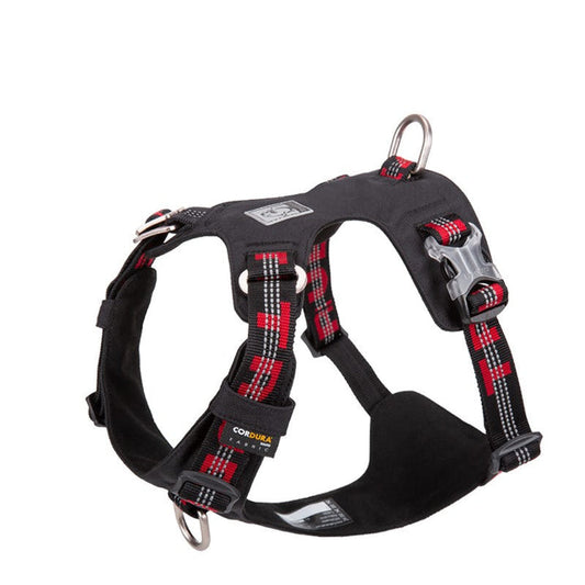 Lightweight 3M reflective Harness Black 2XS - image1