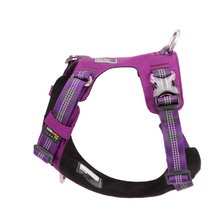 Lightweight 3M reflective Harness Purple 2XS - image3