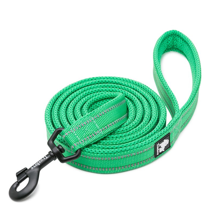 Reflective Pet Leash 2 meters Green L - image1