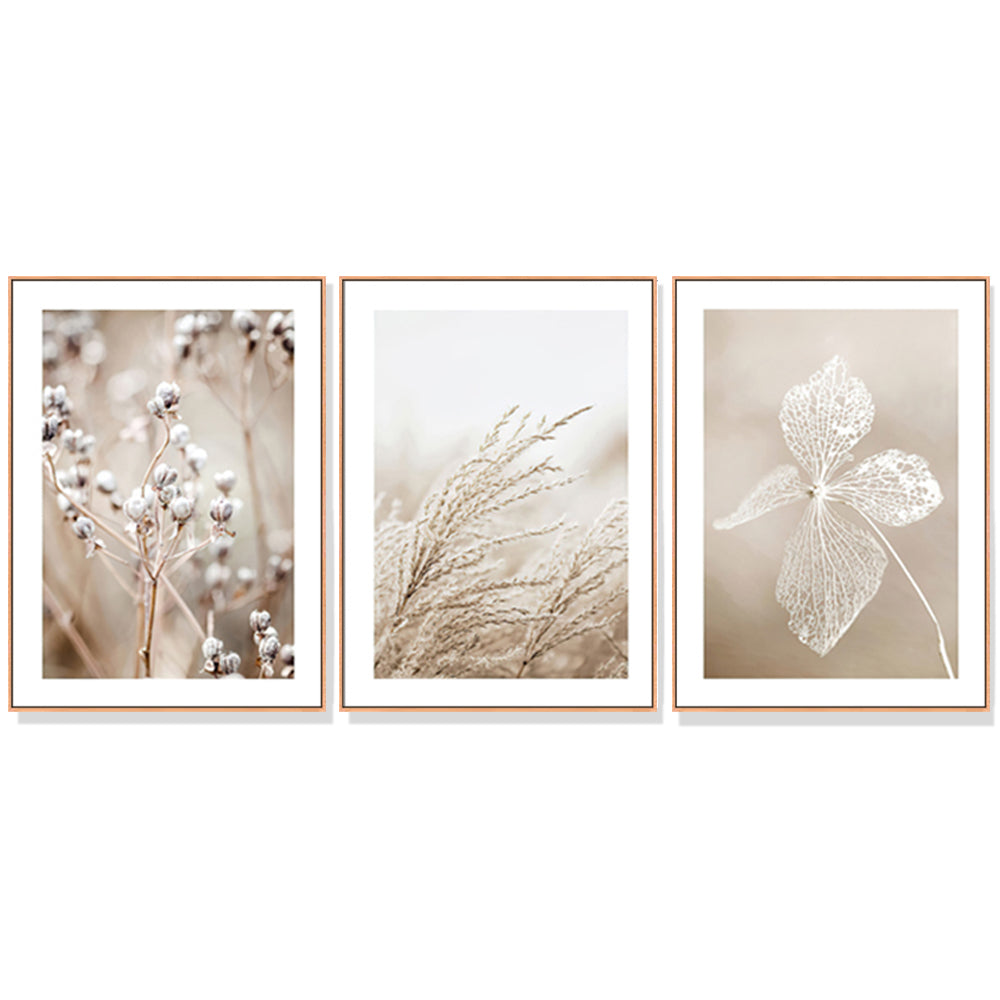 60cmx90cm Dried Flower 3 Sets Wood Frame Canvas Wall Art - image1